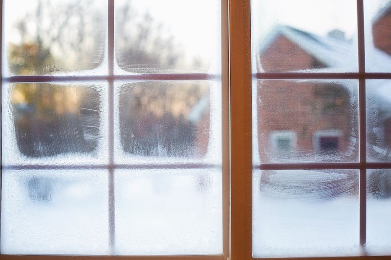 windows with frost