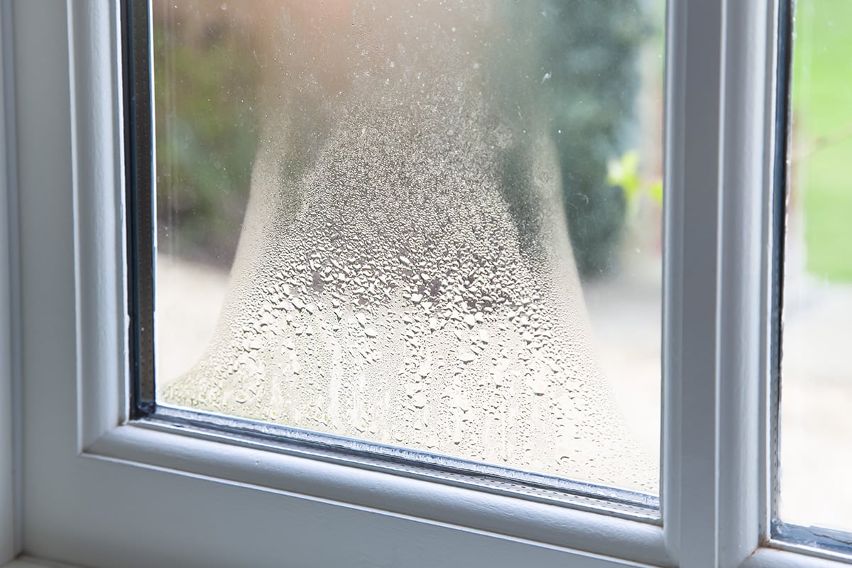 window with condensation